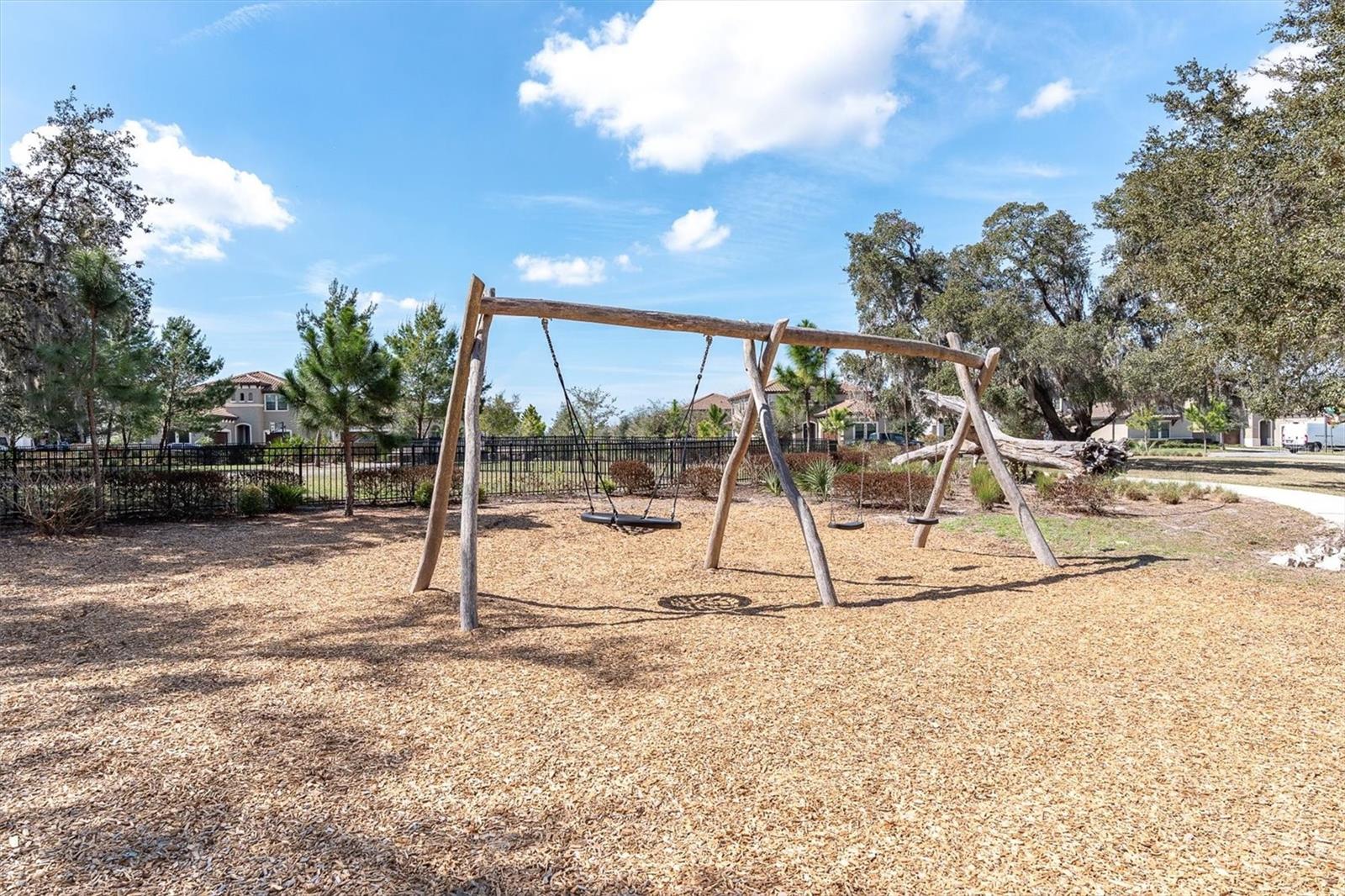 12354 LYON PINE LN, ODESSA, FL — photo 54