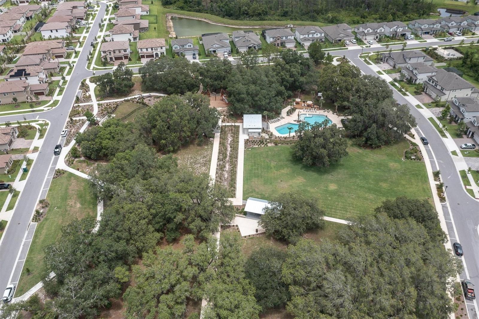 12354 LYON PINE LN, ODESSA, FL — photo 58