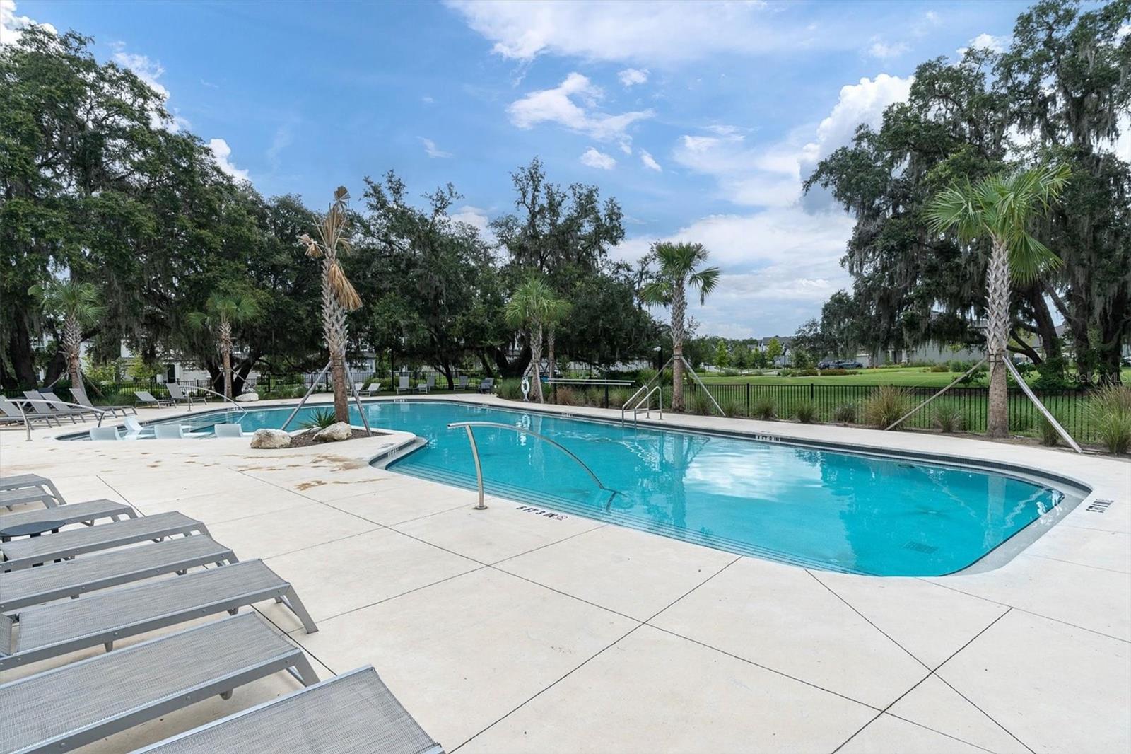 12354 LYON PINE LN, ODESSA, FL — photo 59