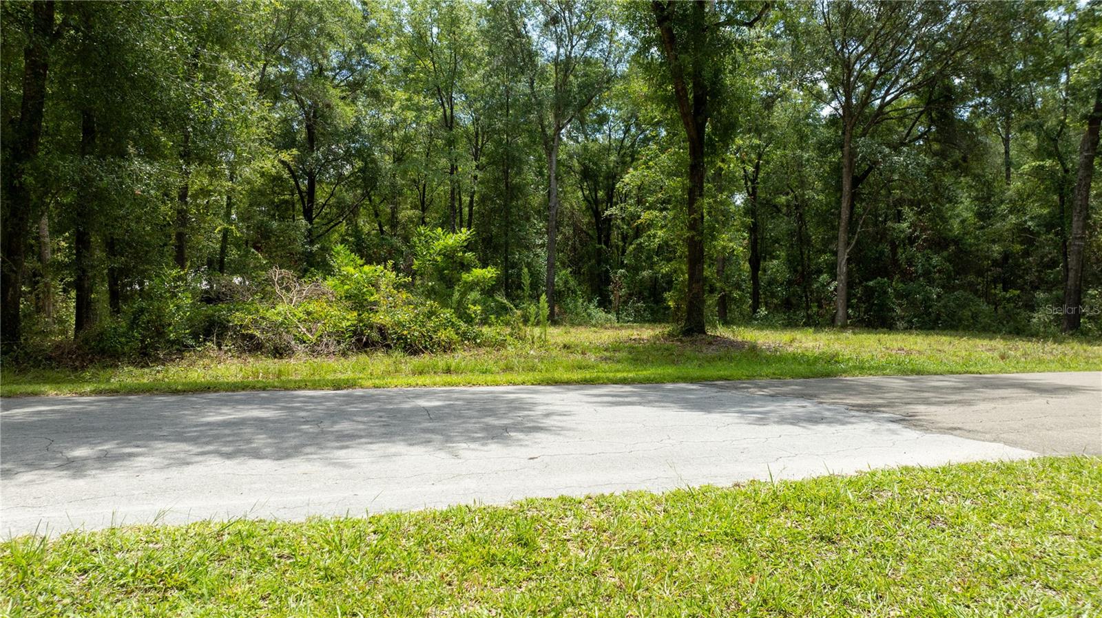 000 NE 155TH CT, WILLISTON, FL