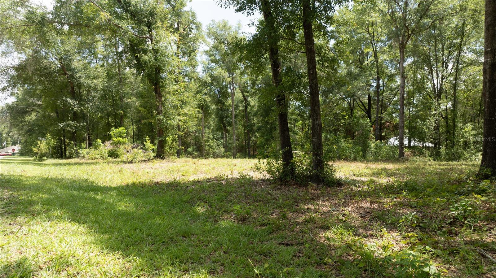 000 NE 155TH CT, WILLISTON, FL — photo 2
