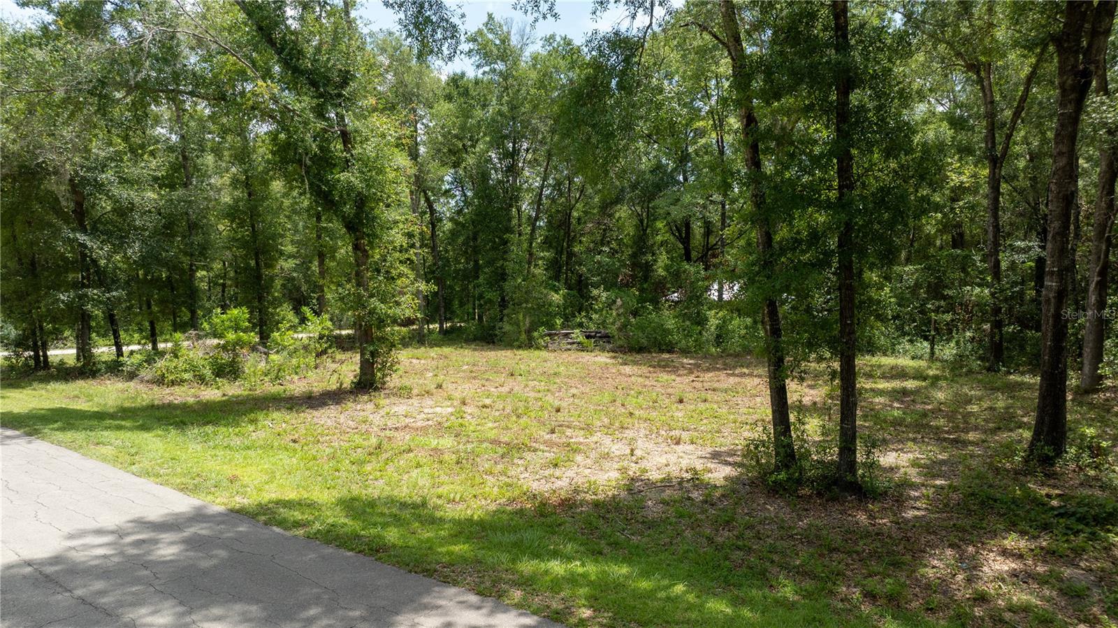 000 NE 155TH CT, WILLISTON, FL — photo 3