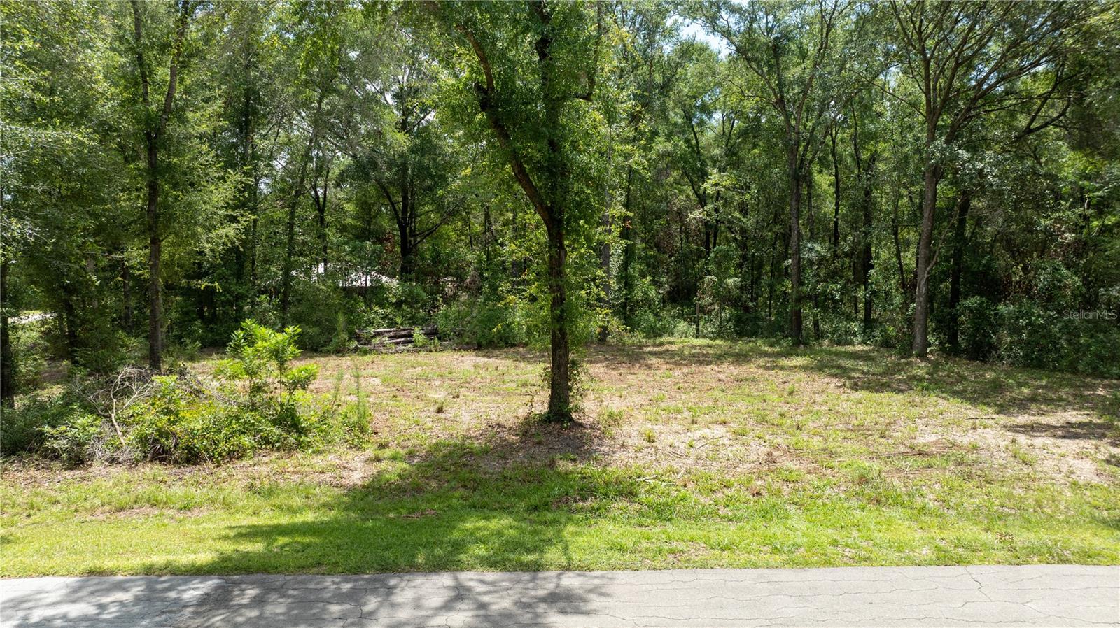 000 NE 155TH CT, WILLISTON, FL — photo 4