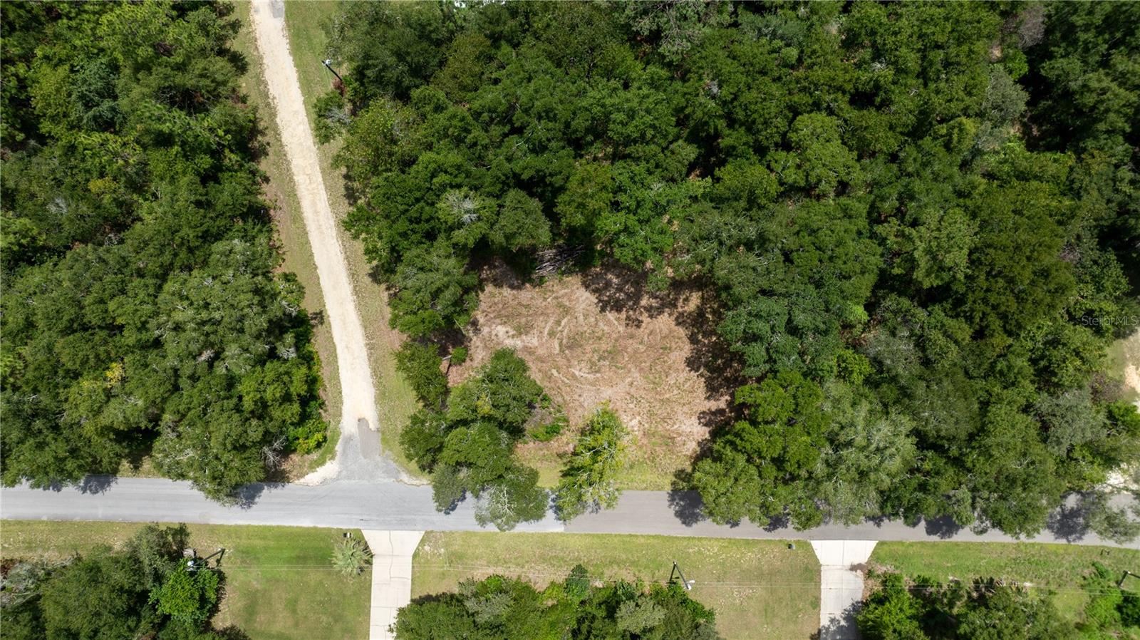 000 NE 155TH CT, WILLISTON, FL — photo 9