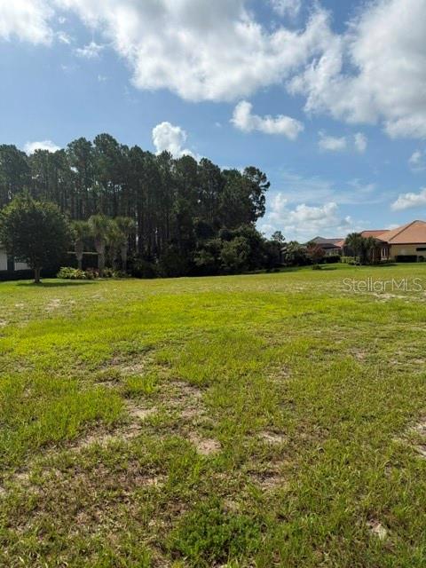 515 SWEETGUM LANE LN, PALM COAST, FL — photo 5