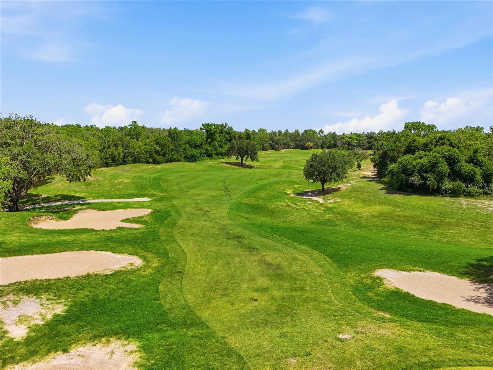 410 W PUTTING GREEN CT, BEVERLY HILLS, FL — photo 48