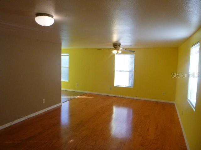 6616 MANGROVE DR, WESLEY CHAPEL, FL — photo 11