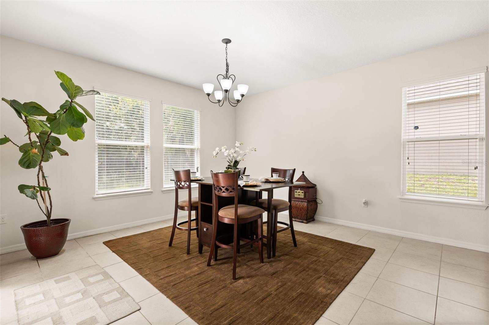 3737 CHANDLER ESTATES DR, APOPKA, FL — photo 9