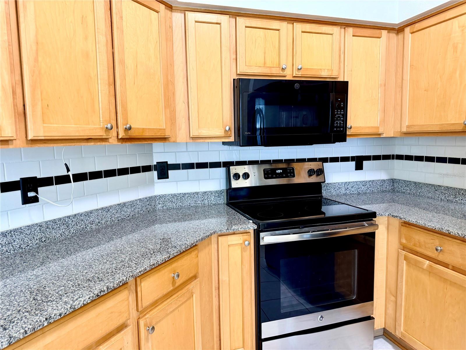 7838 CARRIAGE POINTE DR, GIBSONTON, FL — photo 3