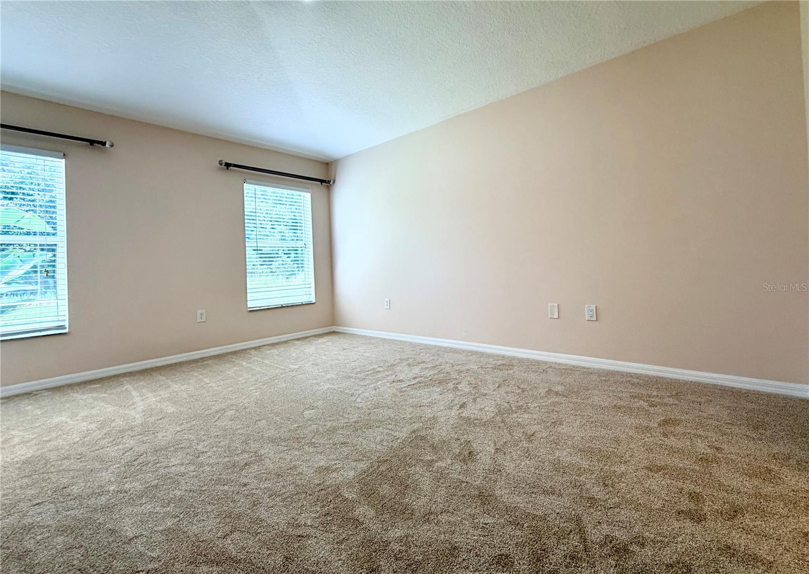 7838 CARRIAGE POINTE DR, GIBSONTON, FL — photo 20
