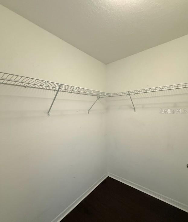 2807 LANTERN HILL AVE, BRANDON, FL — photo 13