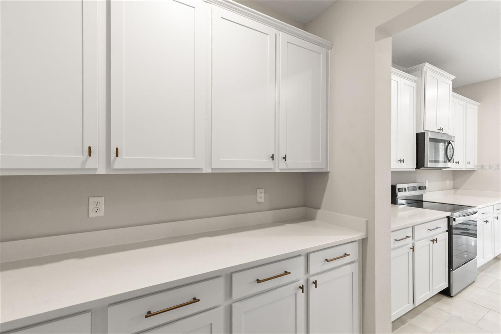 6764 BROAD RIVER AVE, LAND O LAKES, FL — photo 15