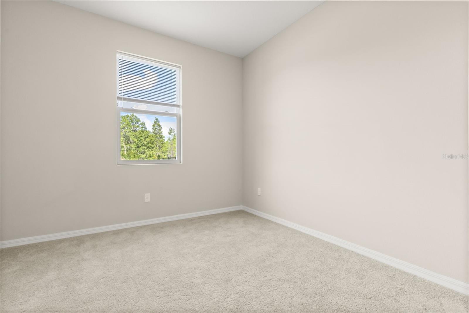 6764 BROAD RIVER AVE, LAND O LAKES, FL — photo 23