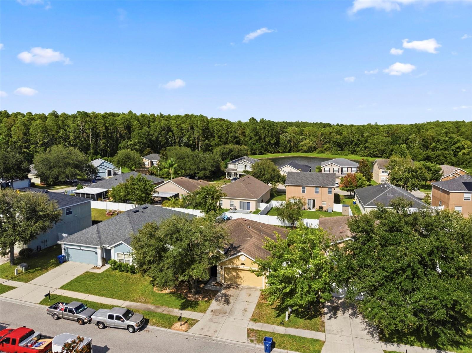 5656 SWEET WILLIAM TER, LAND O LAKES, FL — photo 50