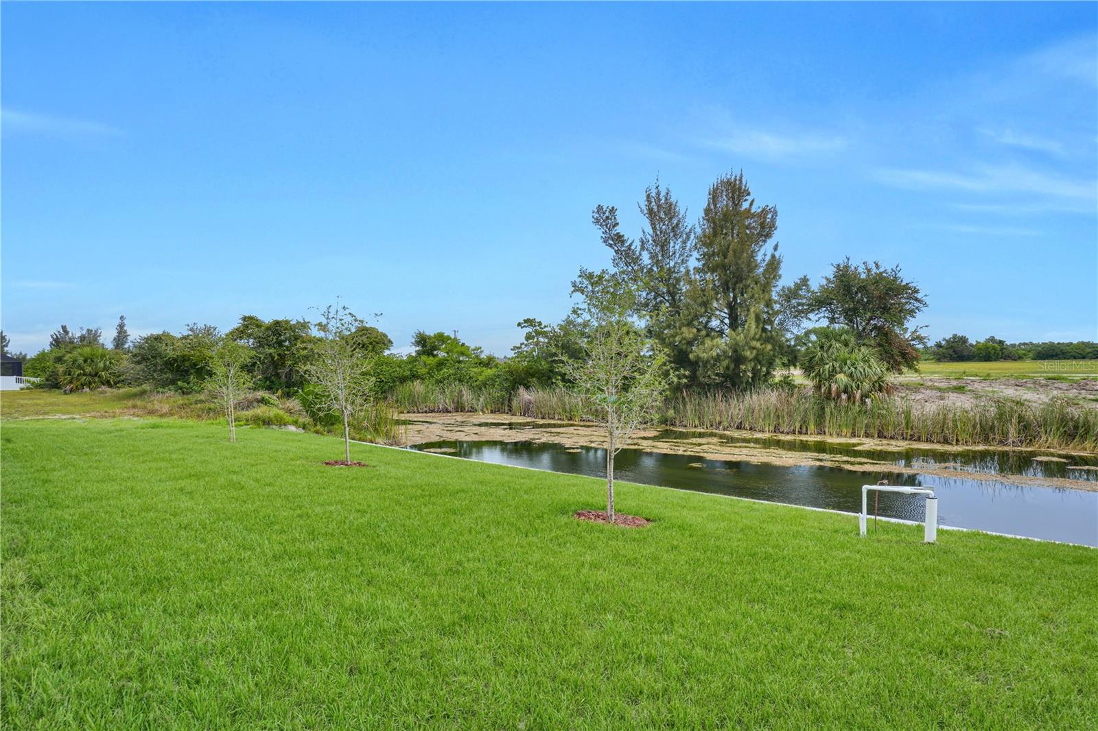 1239 NW 24TH TER, CAPE CORAL, FL — photo 34