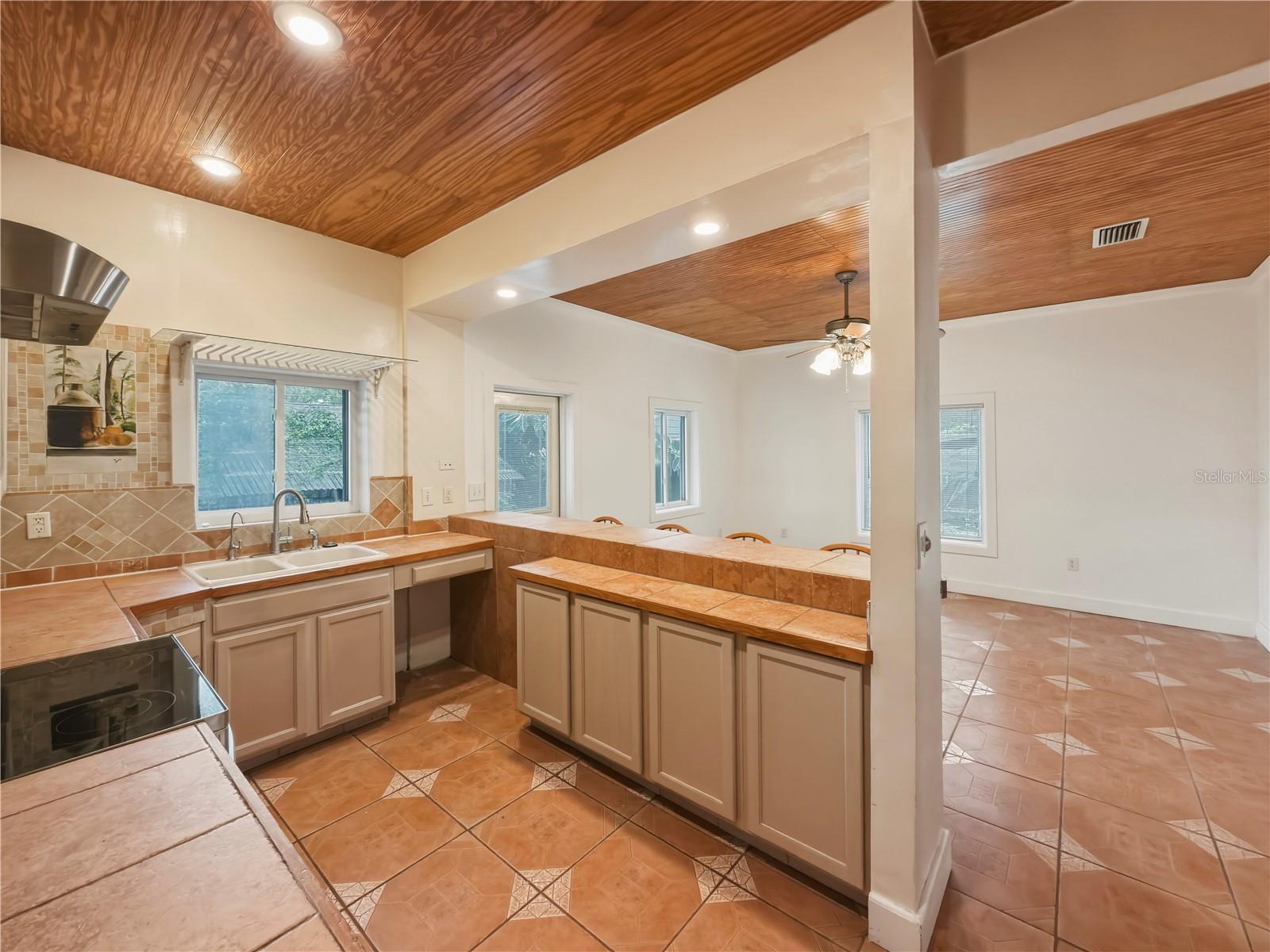 211 E 131ST AVE, TAMPA, FL — photo 19