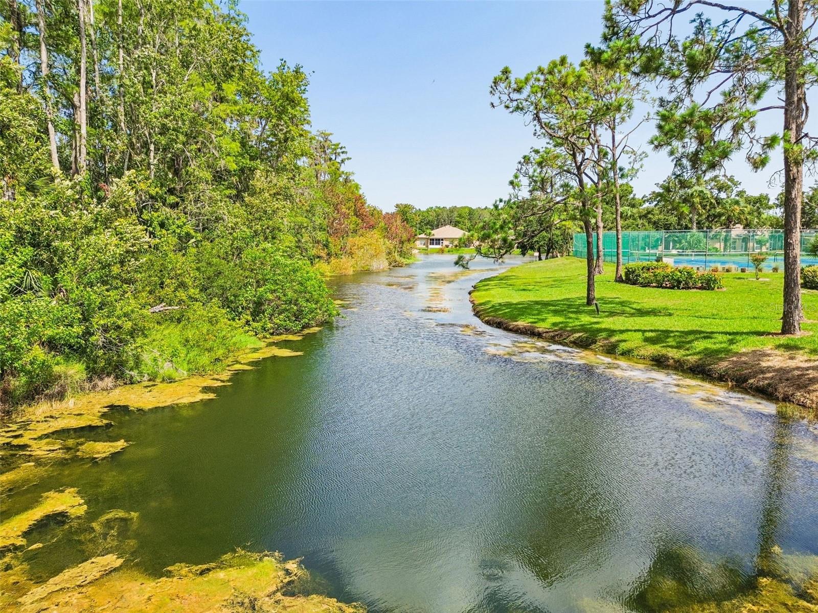 12154 PUTTER GREEN CT, NEW PORT RICHEY, FL — photo 57