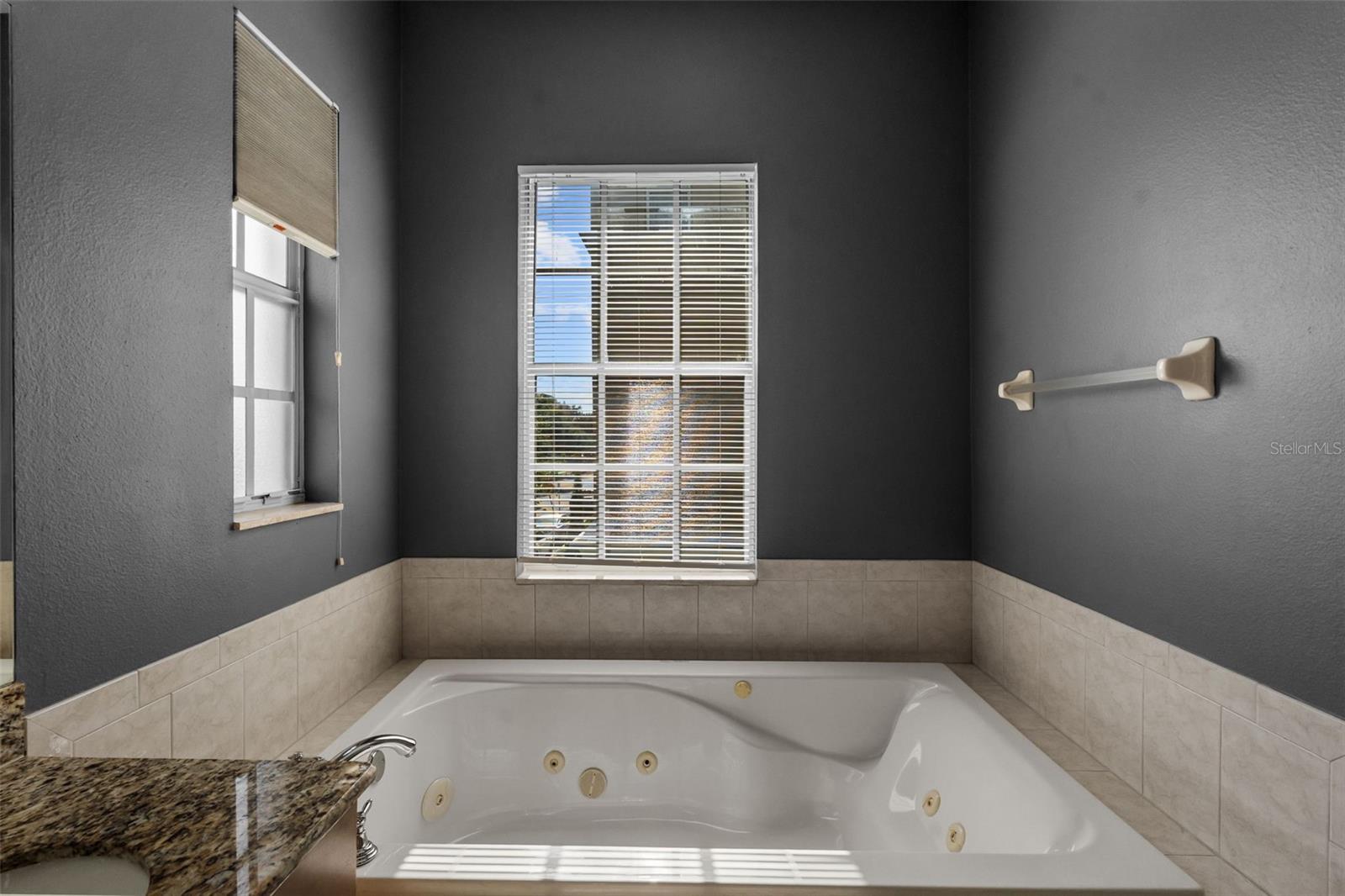 2419 VICTORIA GARDENS LN, TAMPA, FL — photo 27
