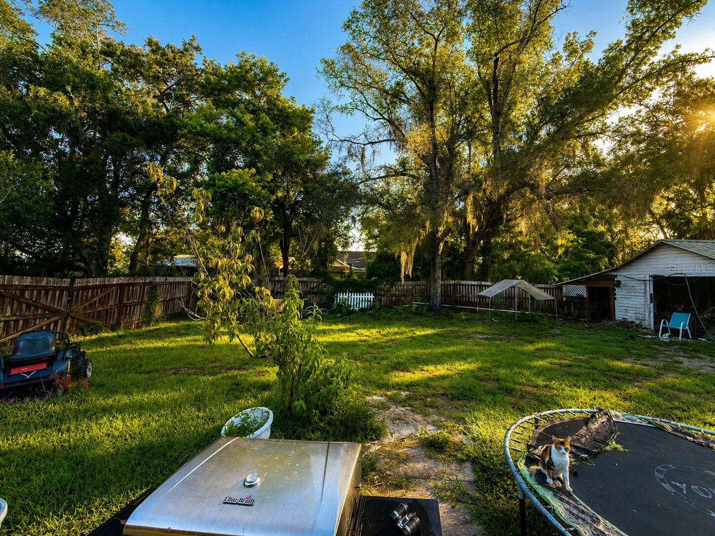 129 S MILLS AVE, ARCADIA, FL — photo 15