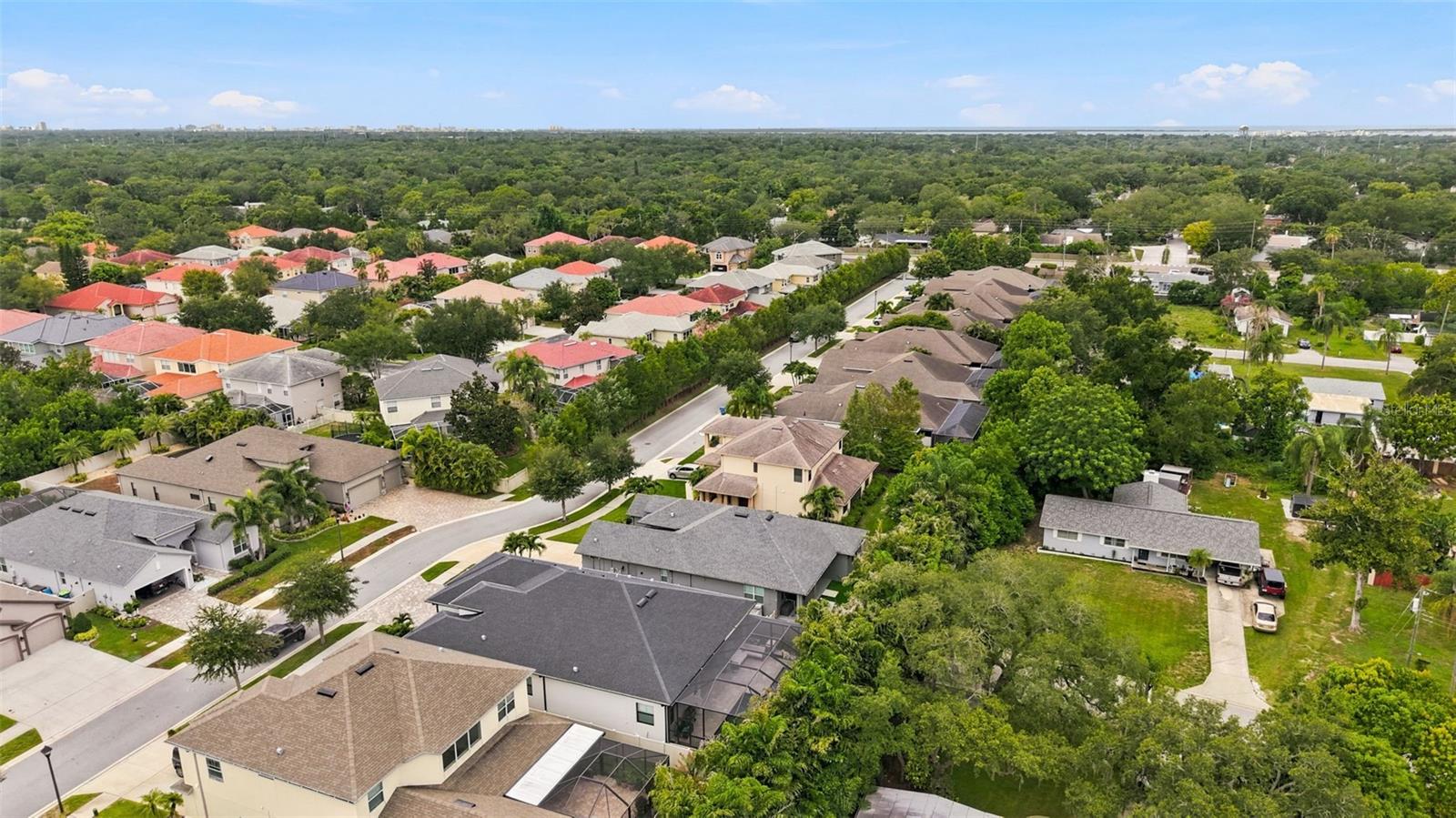 2246 HIGHWOOD CT, DUNEDIN, FL — photo 55