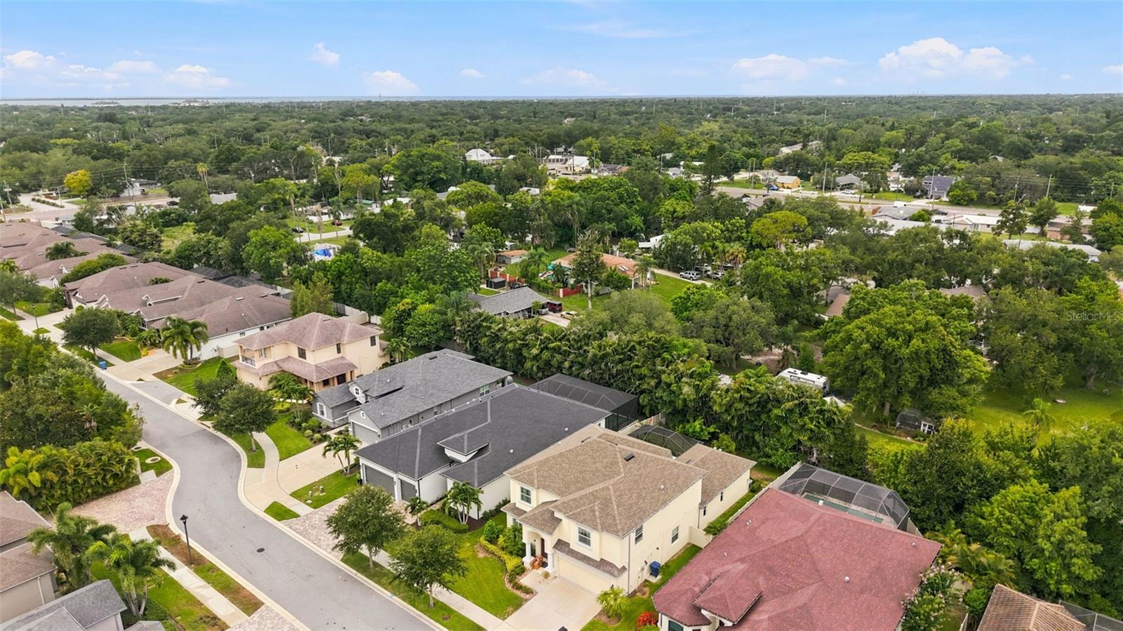 2246 HIGHWOOD CT, DUNEDIN, FL — photo 56
