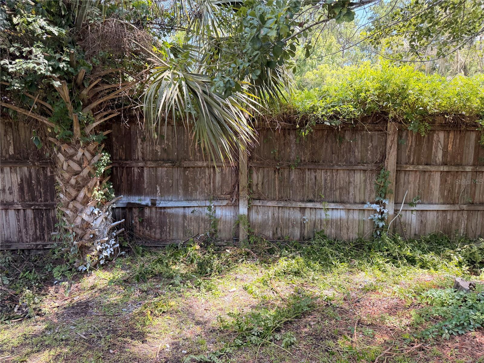 55643 LISA ST, ASTOR, FL — photo 45