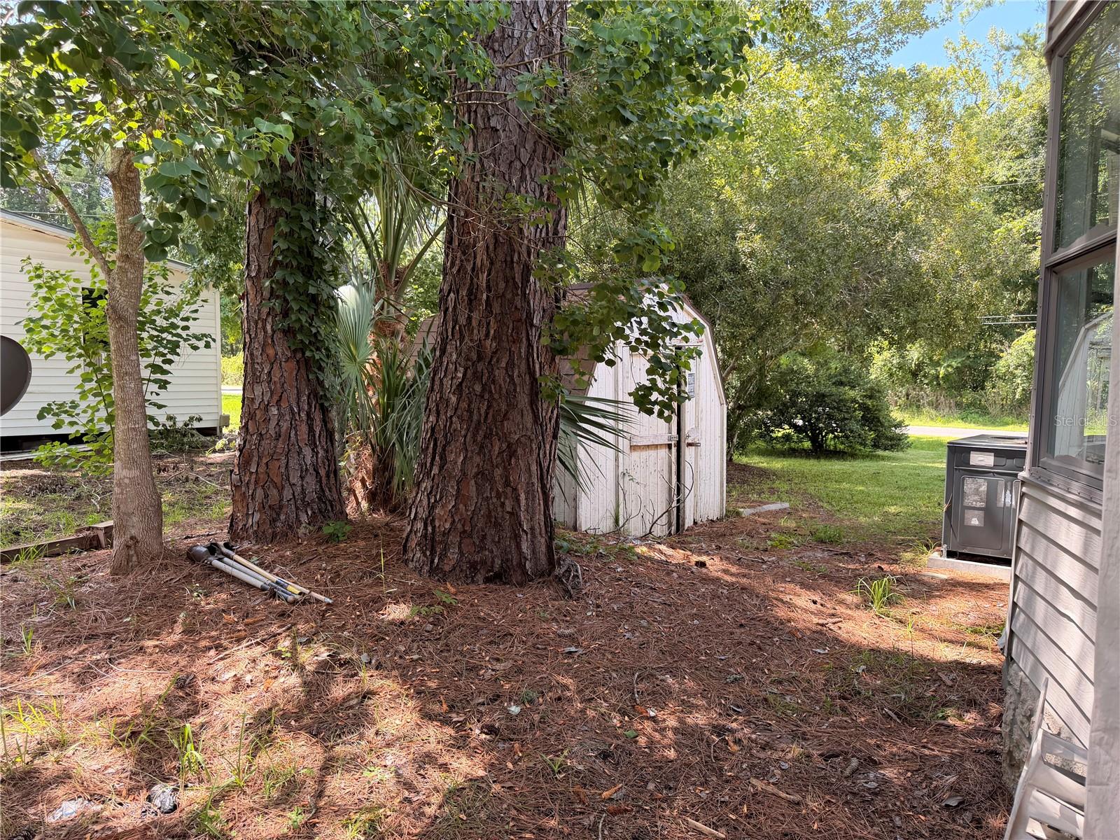 55643 LISA ST, ASTOR, FL — photo 47