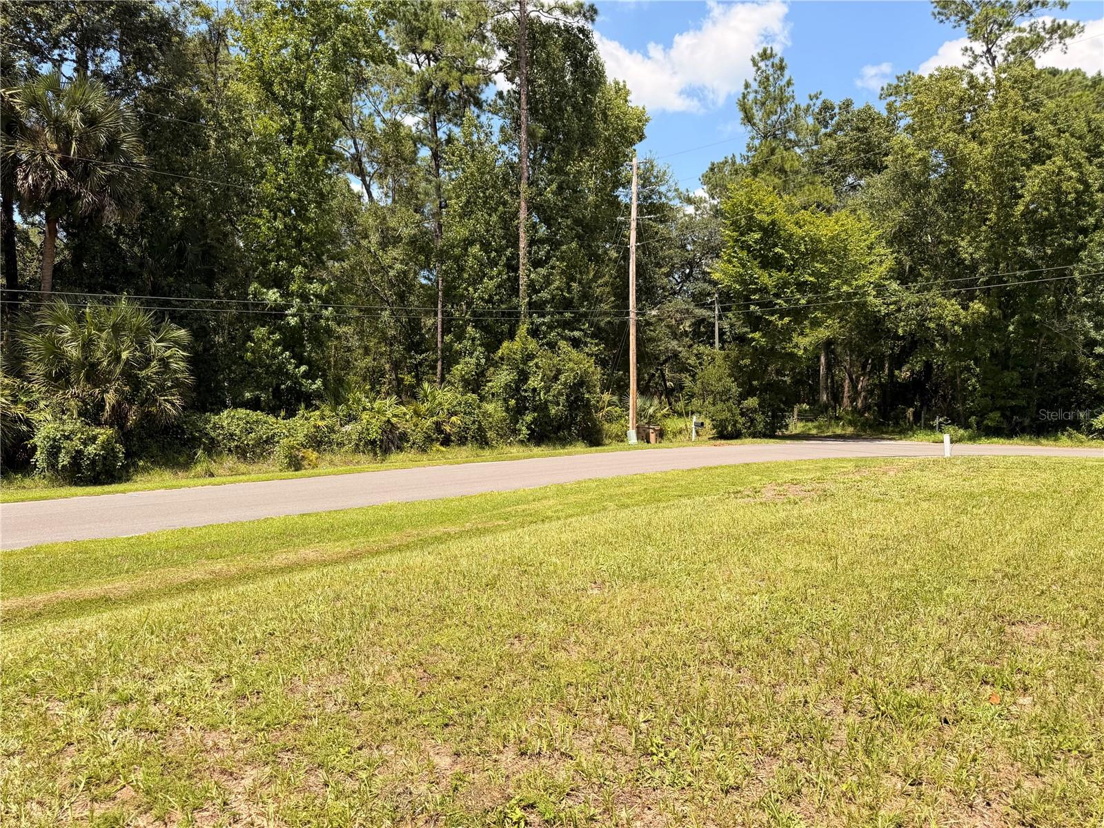 55643 LISA ST, ASTOR, FL — photo 48