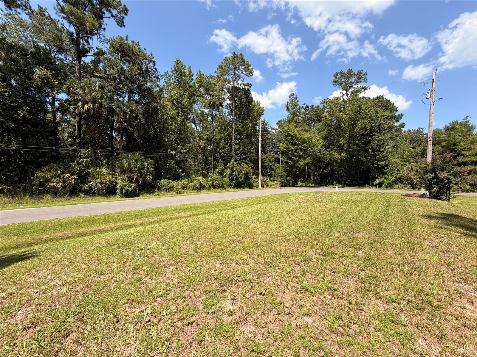 55643 LISA ST, ASTOR, FL — photo 49