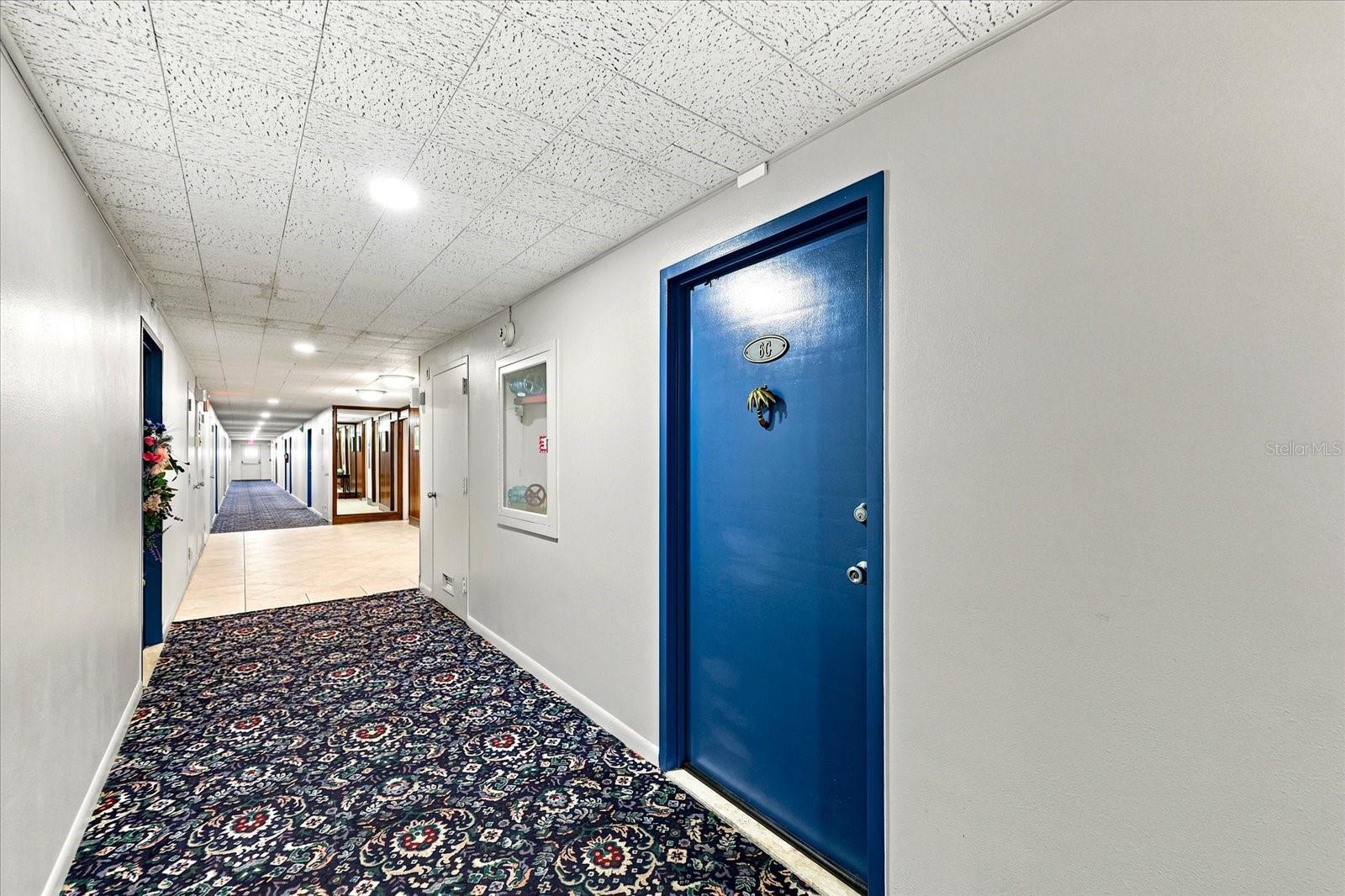7200 SUNSHINE SKYWAY LN S #6G, ST PETERSBURG, FL — photo 19