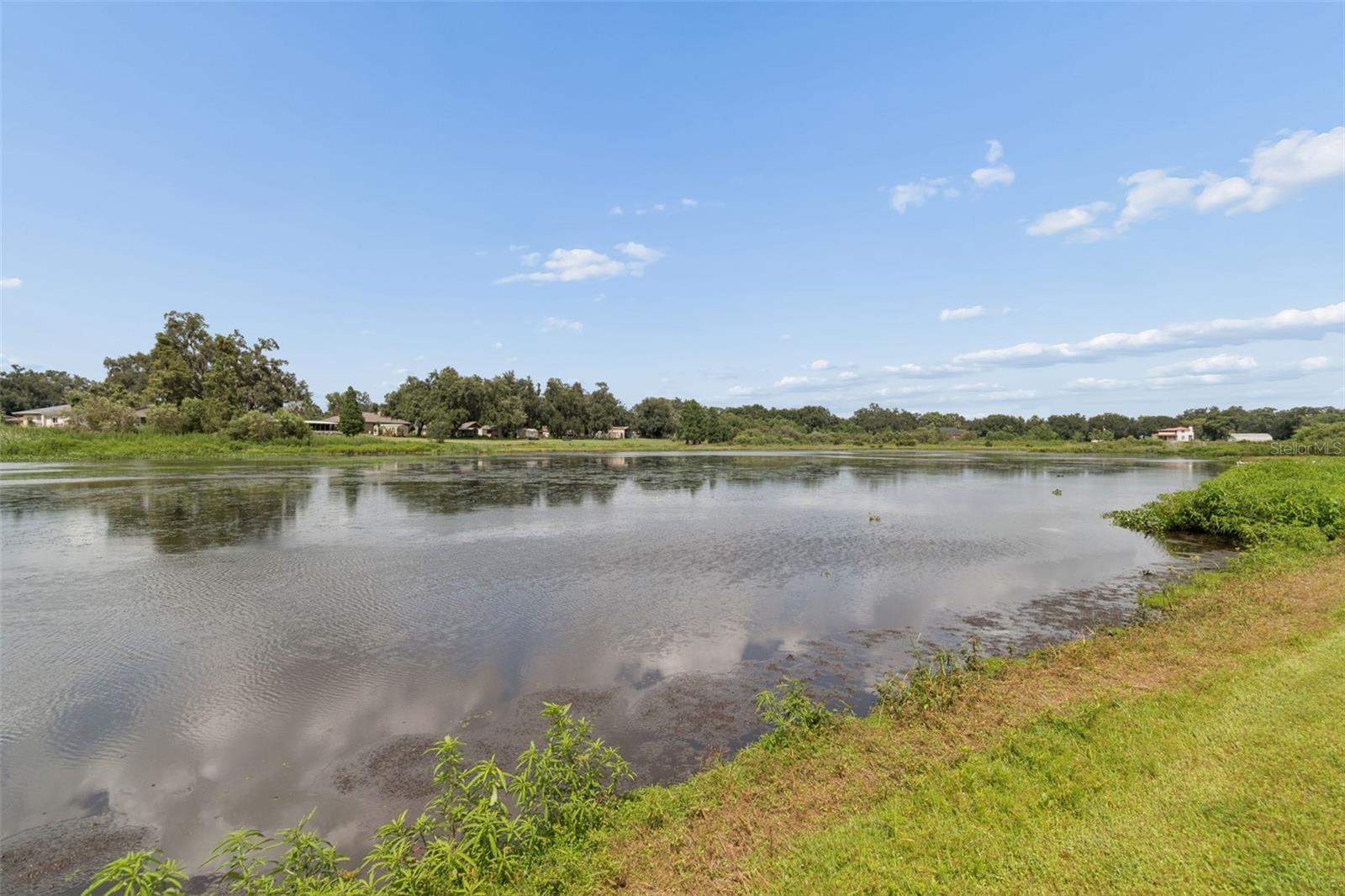 653 TIMBER POND DR, BRANDON, FL — photo 52