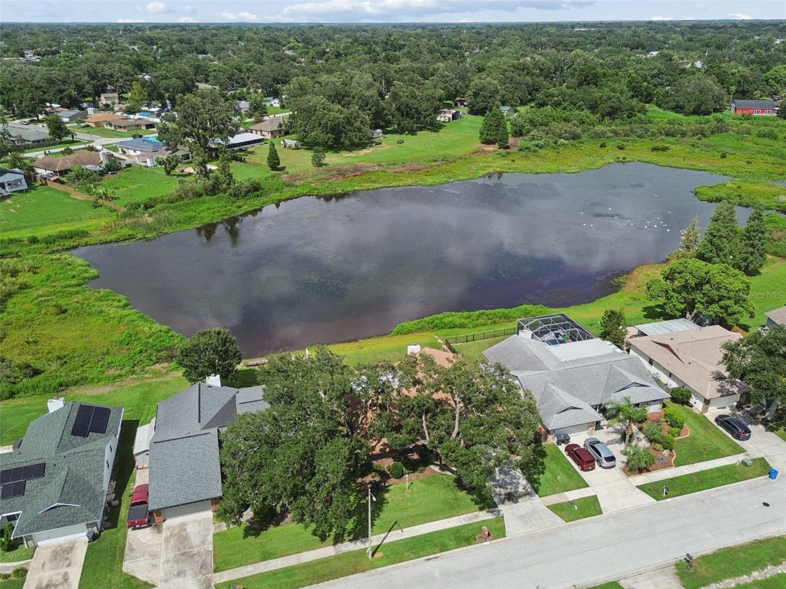 653 TIMBER POND DR, BRANDON, FL — photo 68