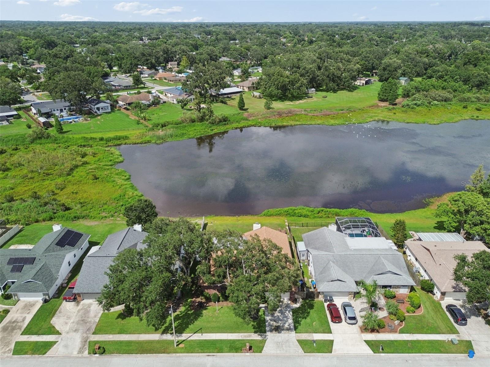 653 TIMBER POND DR, BRANDON, FL — photo 69