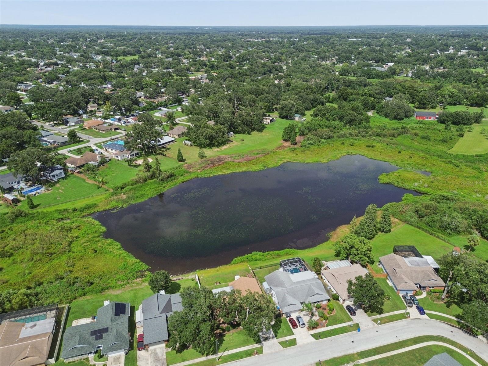 653 TIMBER POND DR, BRANDON, FL — photo 72