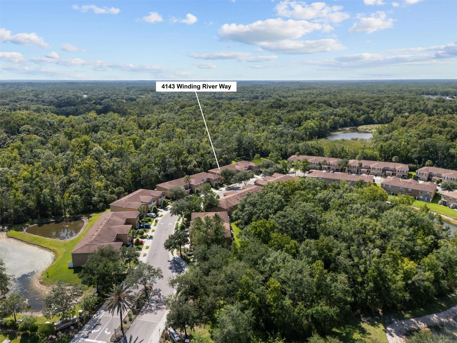 4143 WINDING RIVER WAY, LAND O LAKES, FL — photo 6