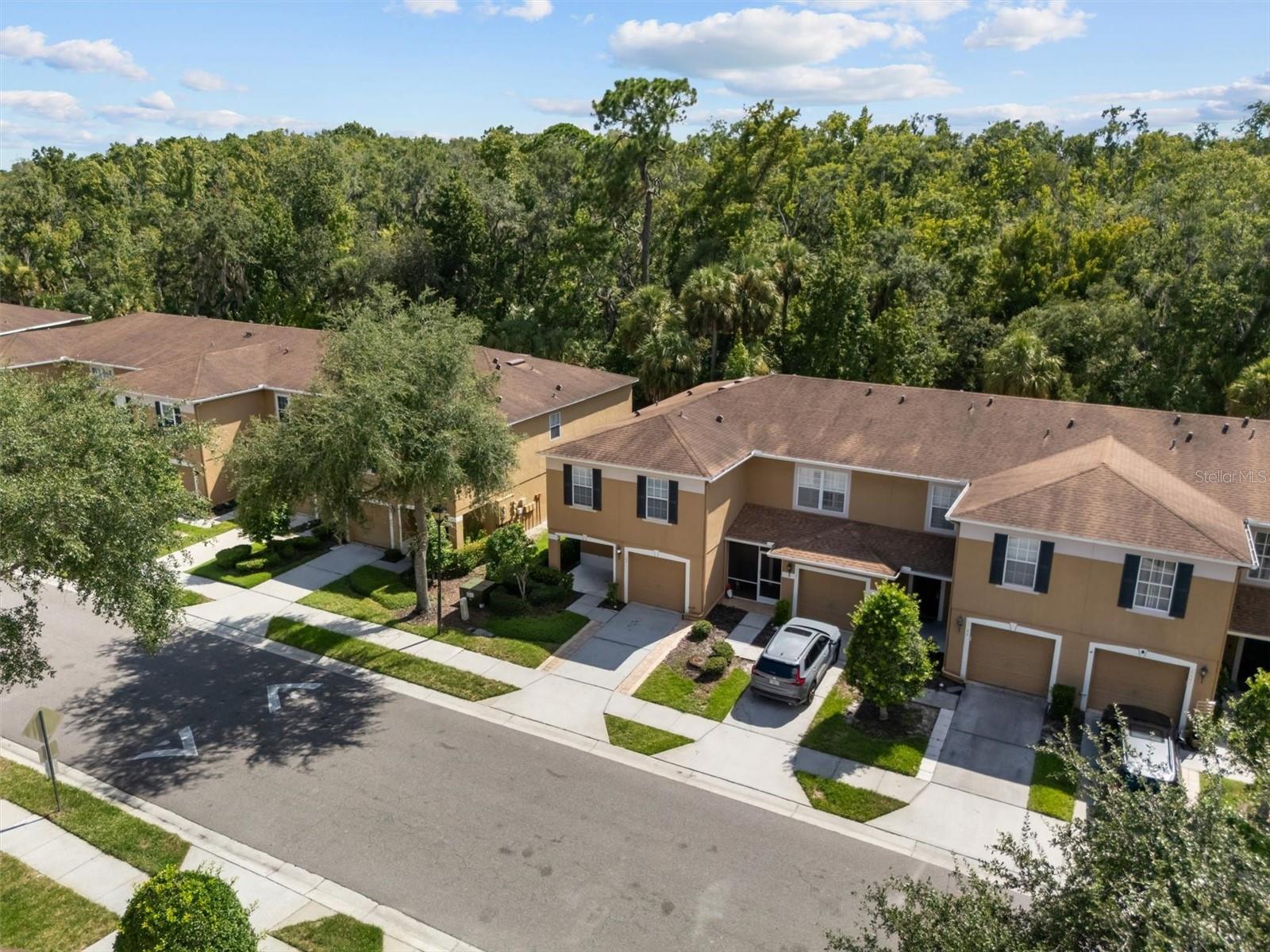 4143 WINDING RIVER WAY, LAND O LAKES, FL — photo 7