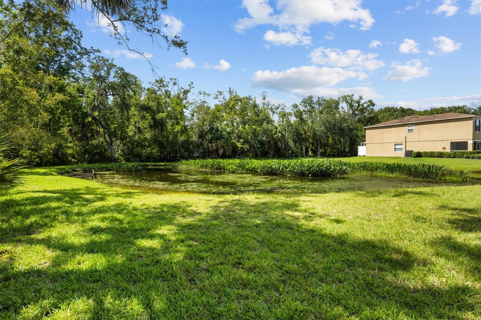 4143 WINDING RIVER WAY, LAND O LAKES, FL — photo 35