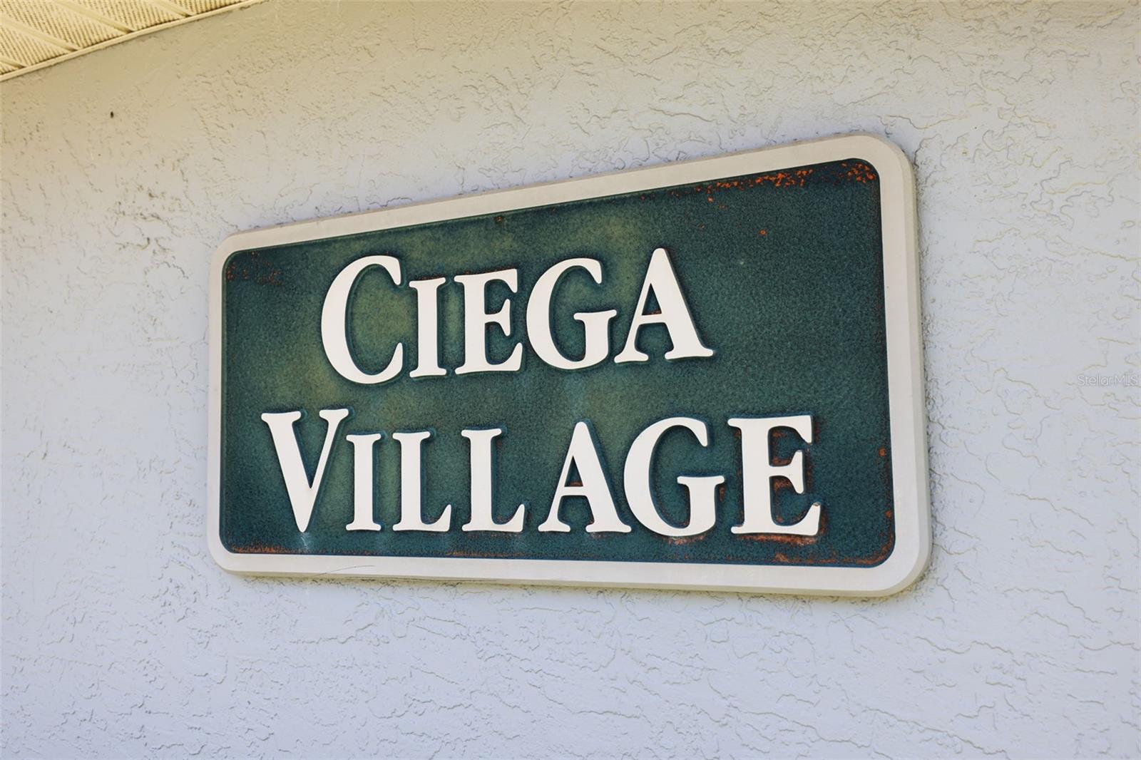 10559 41ST CT N, CLEARWATER, FL — photo 39