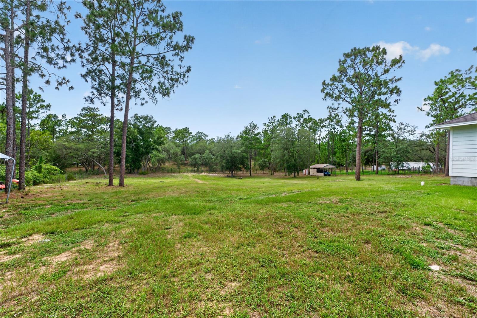 230 SE 150TH AVE, WILLISTON, FL — photo 31
