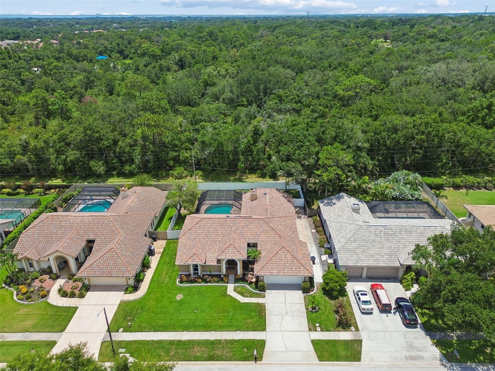 2937 HILLCREEK CIR S, CLEARWATER, FL — photo 45