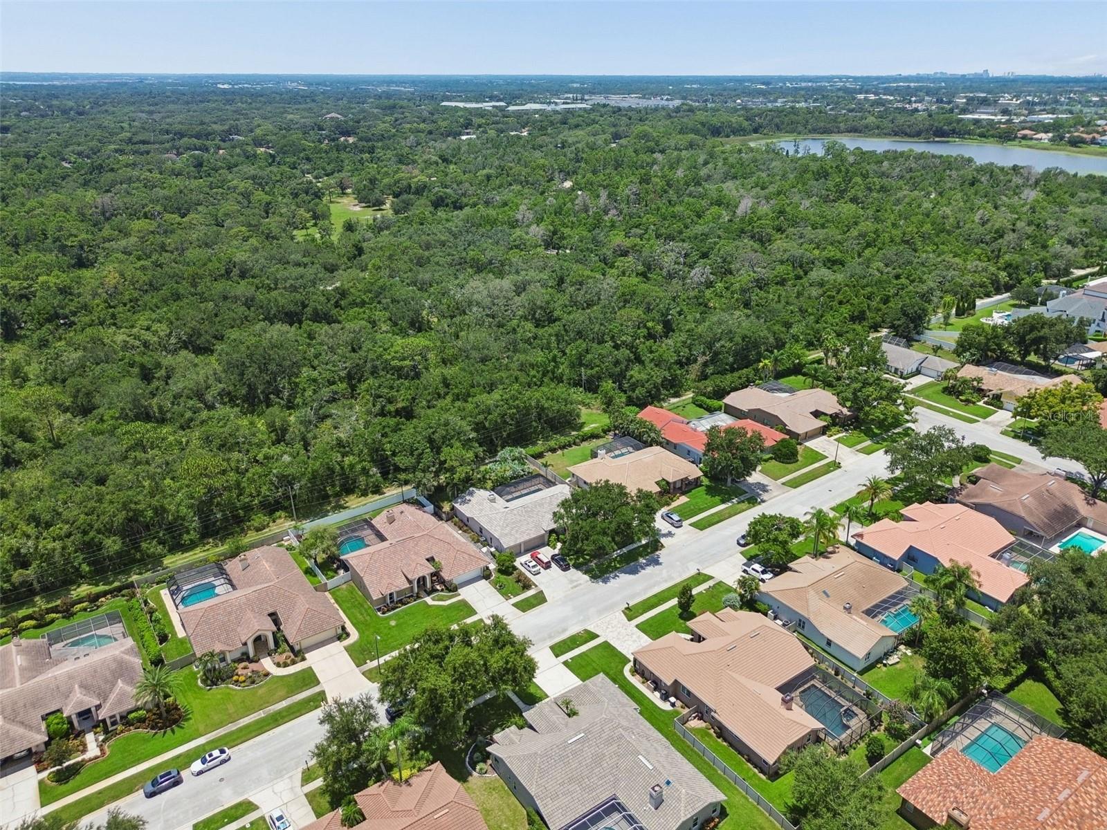 2937 HILLCREEK CIR S, CLEARWATER, FL — photo 46