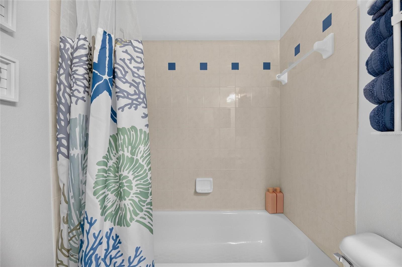 5226 BRIGHTON SHORE DR, APOLLO BEACH, FL — photo 70