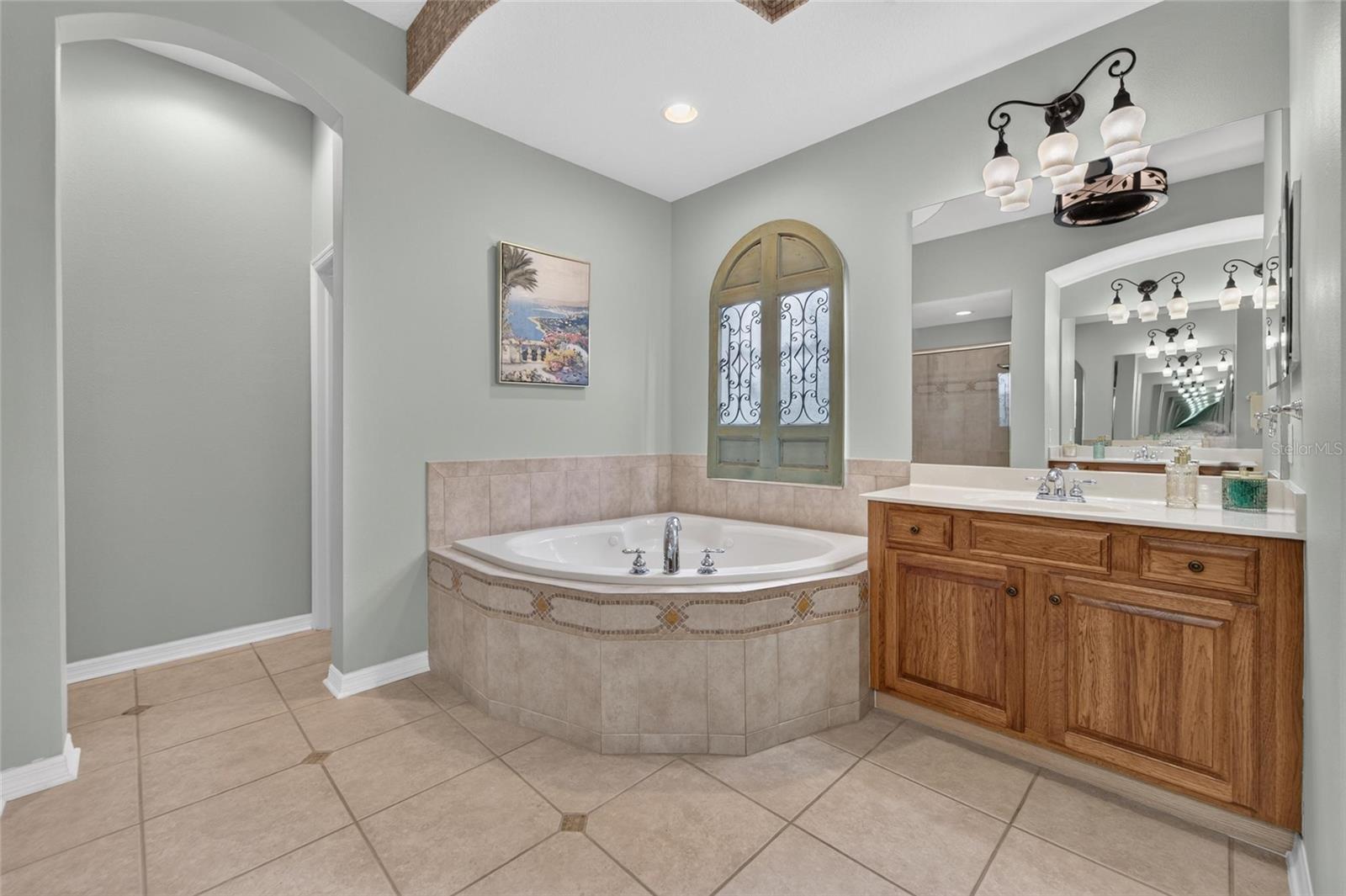 5226 BRIGHTON SHORE DR, APOLLO BEACH, FL — photo 52