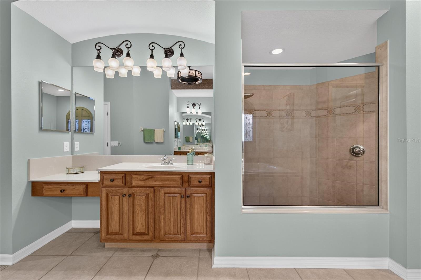 5226 BRIGHTON SHORE DR, APOLLO BEACH, FL — photo 53