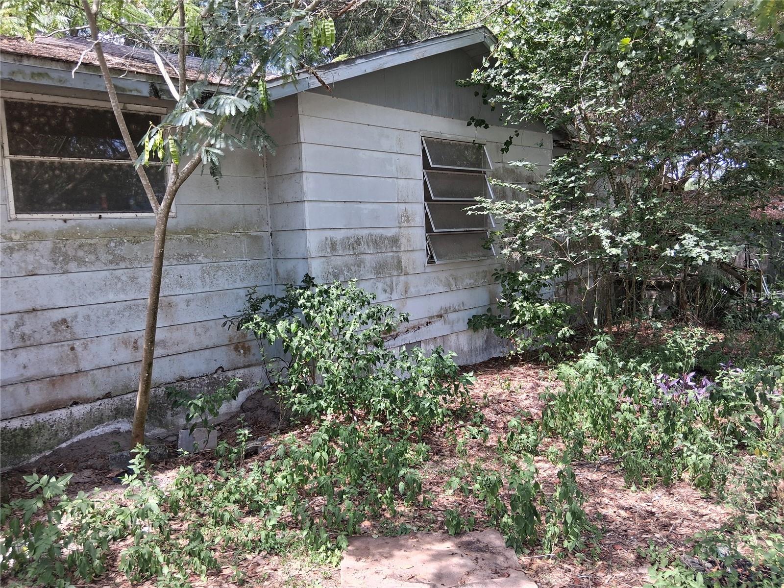 16716 E FORT KING ST, SILVER SPRINGS, FL — photo 11