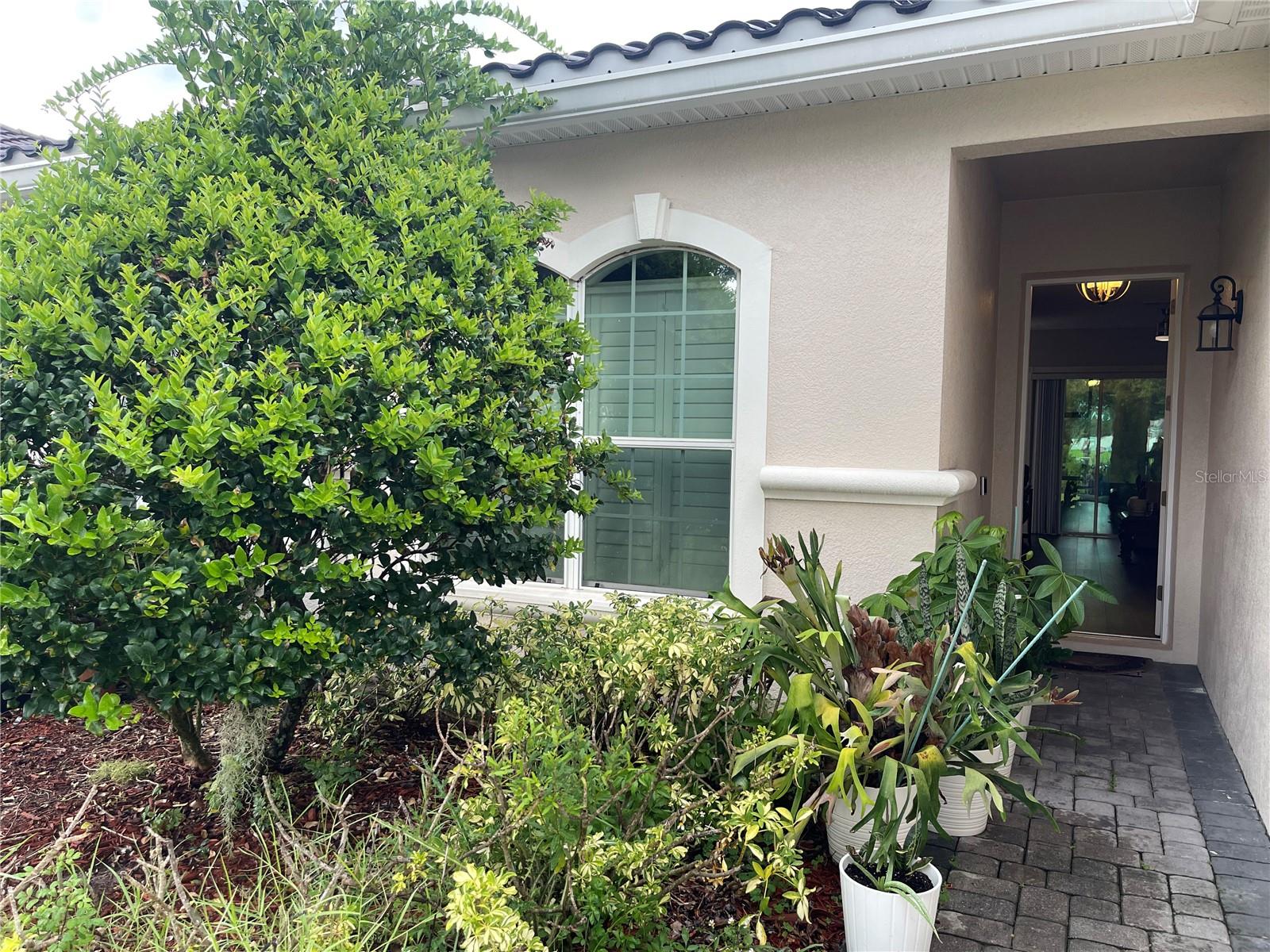 2821 PLYMOUTH PL, KISSIMMEE, FL — photo 2