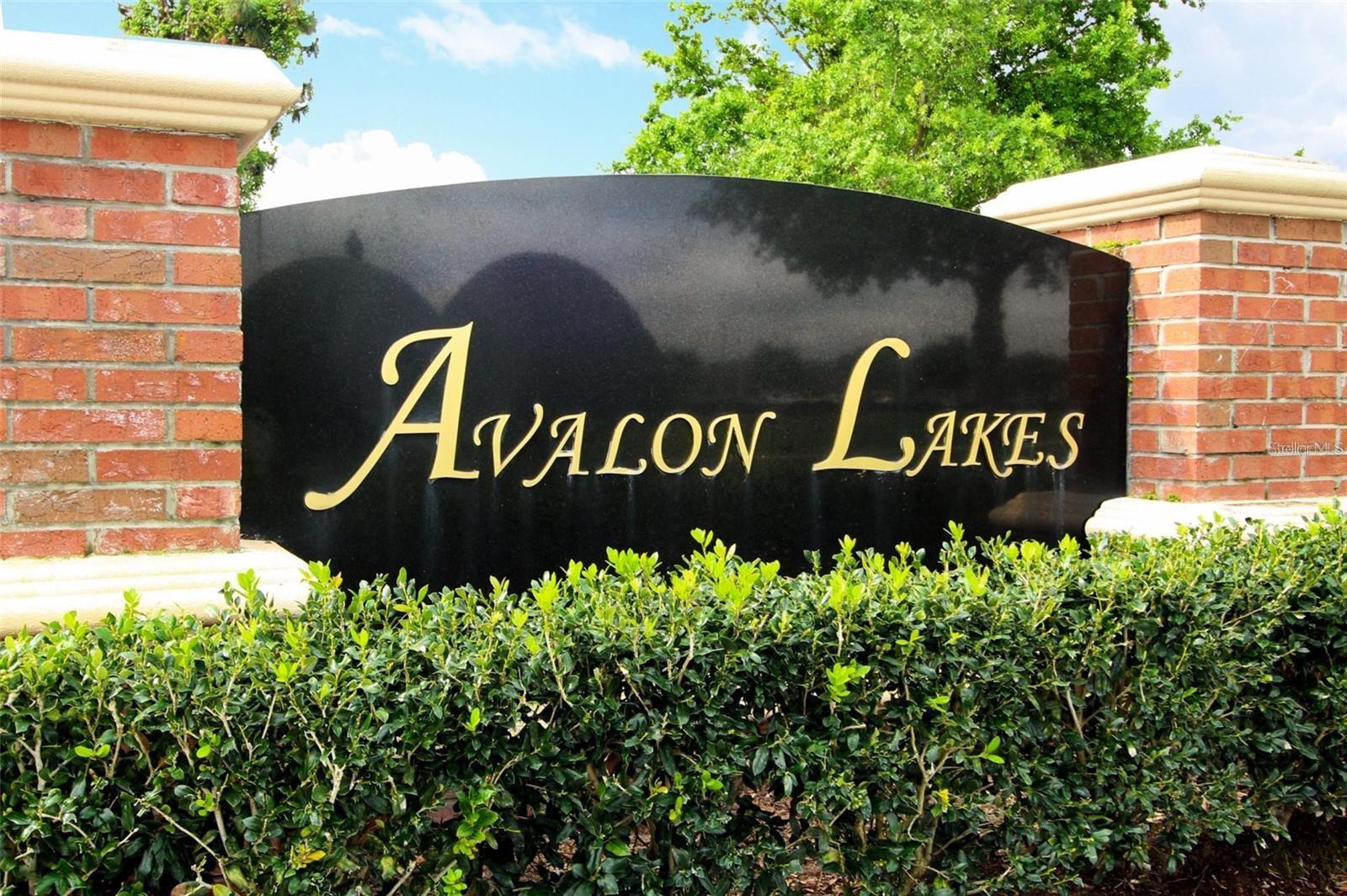 14061 TURNING LEAF DR, ORLANDO, FL — photo 46