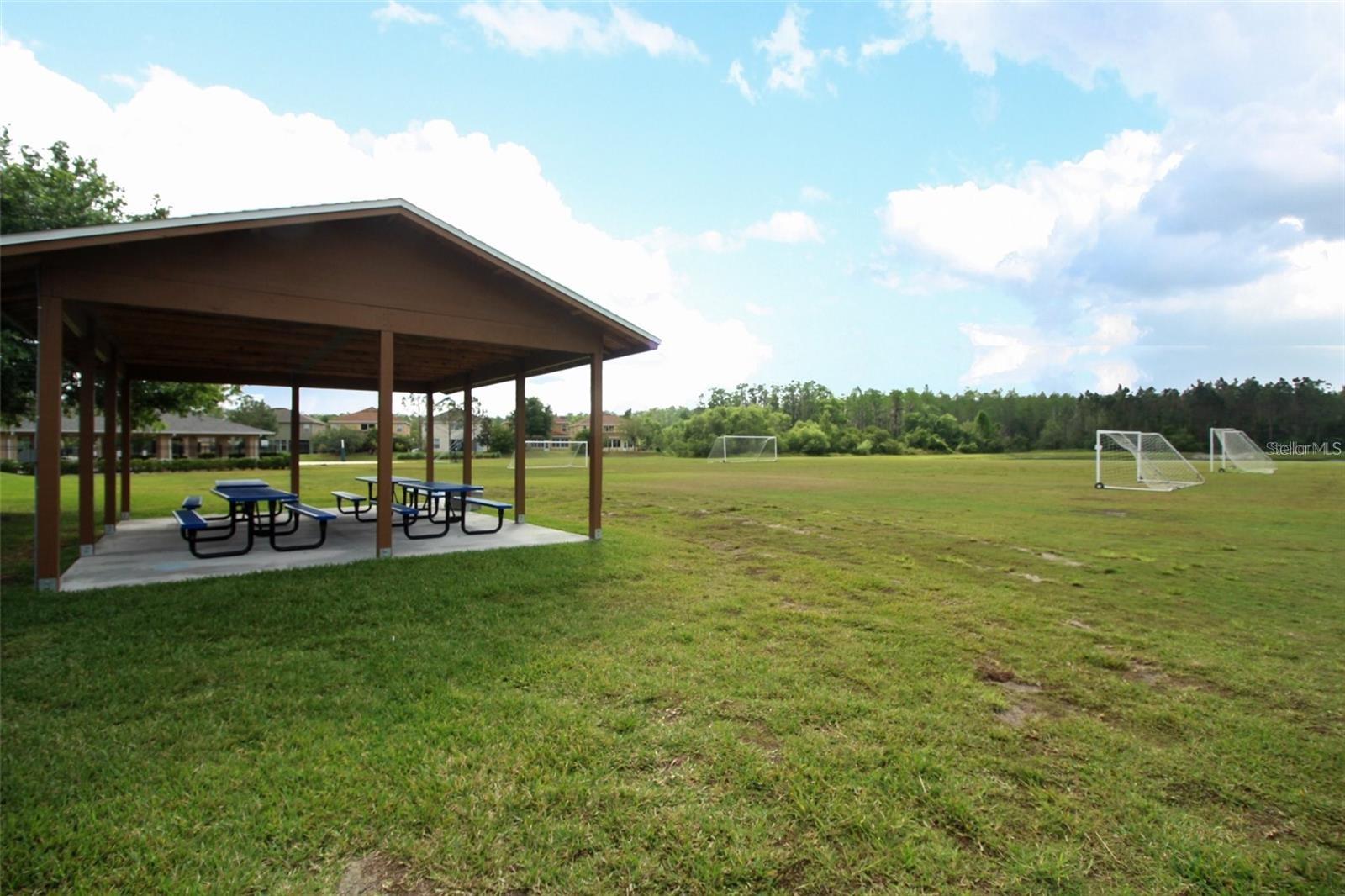 14061 TURNING LEAF DR, ORLANDO, FL — photo 49