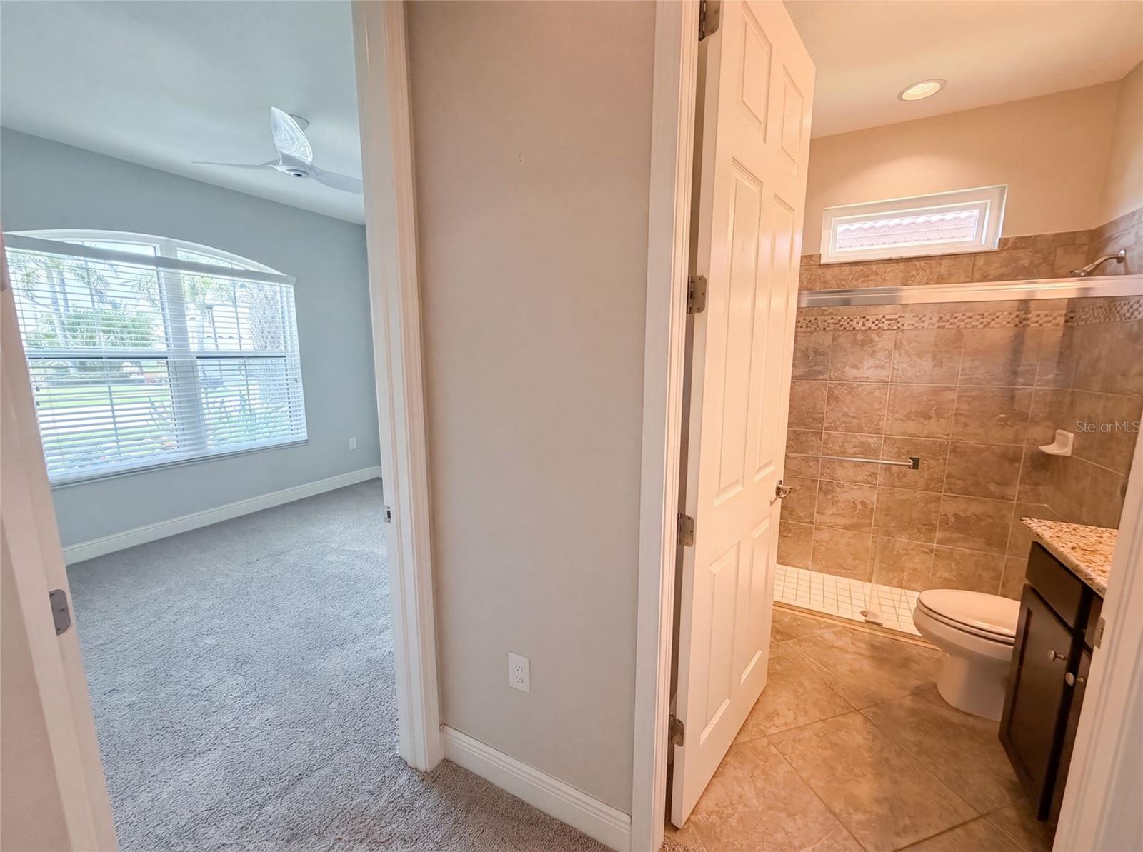 2575 GRAND LAKESIDE DR, PALM HARBOR, FL — photo 32