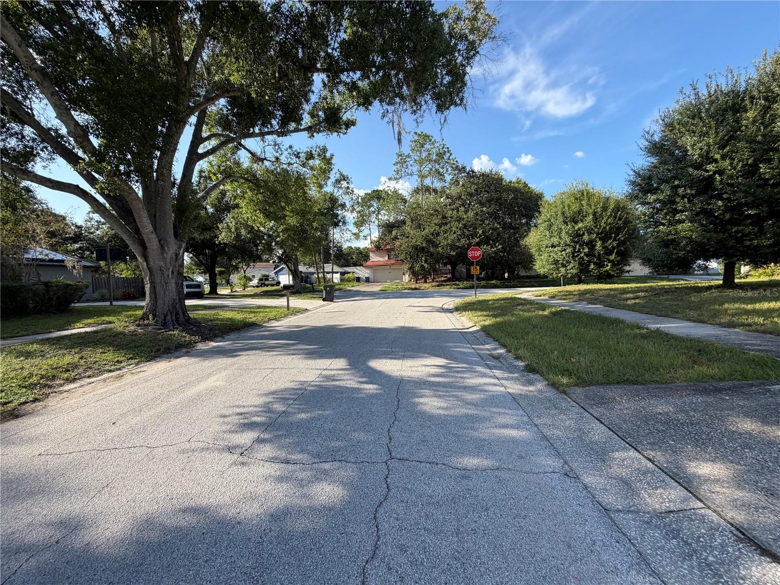 14705 PENGUIN PL, TAMPA, FL — photo 14